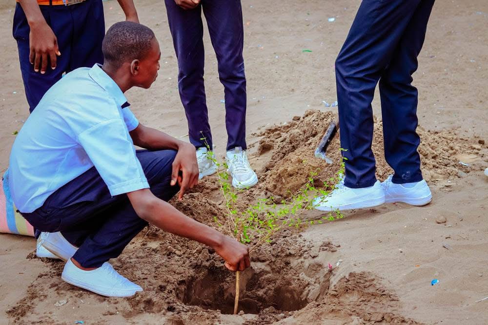 Local volunteers planting trees together